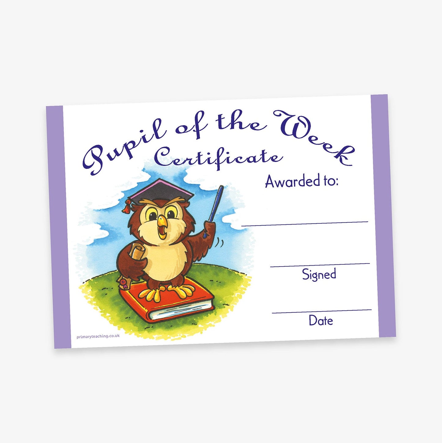 20 Pupil of the Week Owl Certificates - A5