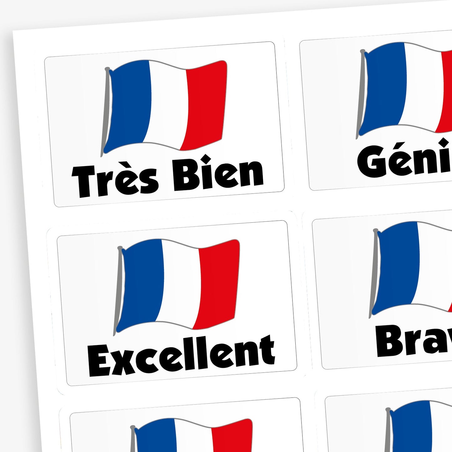 32 Assorted French Language Flag Stickers  - 46 x 30mm