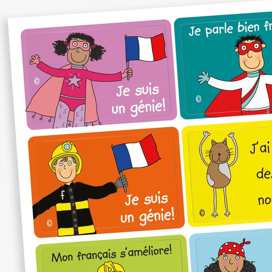 32 Assorted French Stickers - Pedagogs - 46 x 30mm